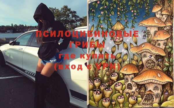 ешки Корсаков