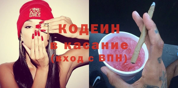 ешки Корсаков