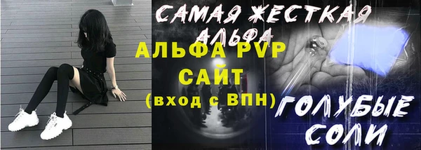 ешки Корсаков